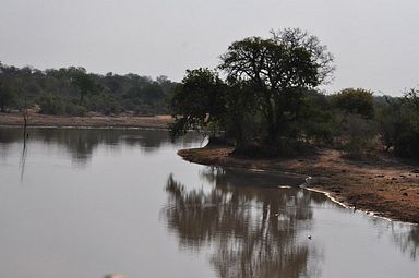 Thornybush Reservat (Greater Kruger Nationalpark)