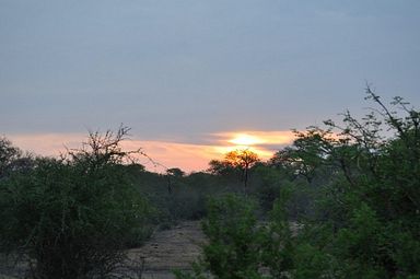 Thornybush Reservat (Greater Kruger Nationalpark)