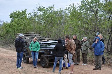 Thornybush Reservat (Greater Kruger Nationalpark)