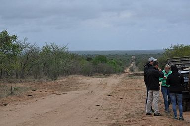 Thornybush Reservat (Greater Kruger Nationalpark)