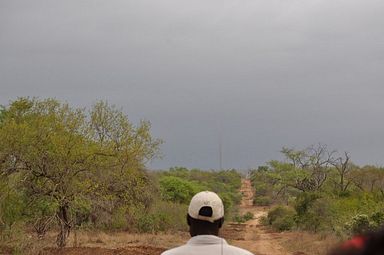 Thornybush Reservat (Greater Kruger Nationalpark)