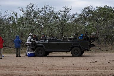 Thornybush Reservat (Greater Kruger Nationalpark)