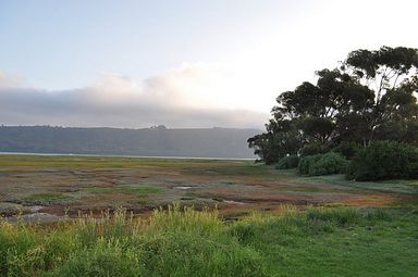 Waterfront Lodge - Knysna