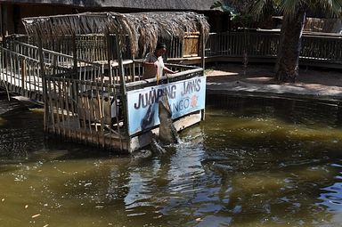 Cango Wildlife Ranch - Oudtshoorn