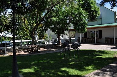 Cango Ostrich Farm - Oudtshoorn