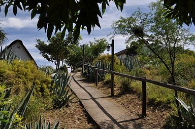 Cango Ostrich Farm - Oudtshoorn