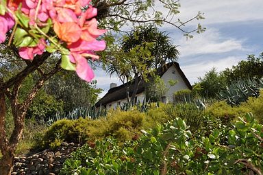 Cango Ostrich Farm - Oudtshoorn