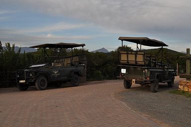 Buffelsdrift Lodge - Oudtshoorn