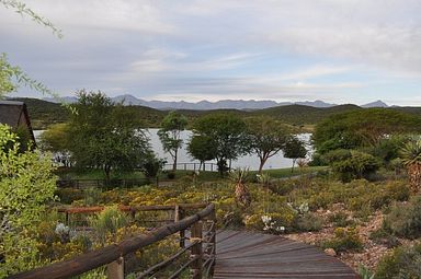 Buffelsdrift Lodge - Oudtshoorn