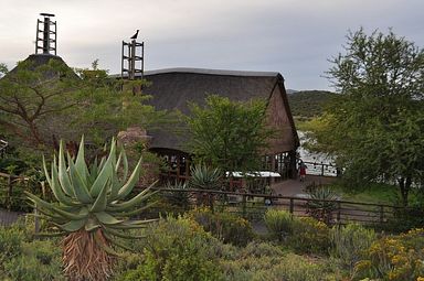 Buffelsdrift Lodge - Oudtshoorn