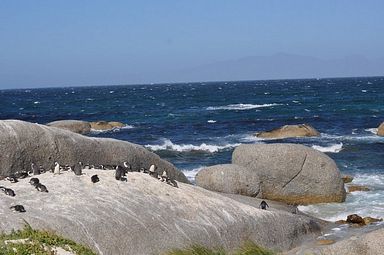 Simon's Town/Boulders