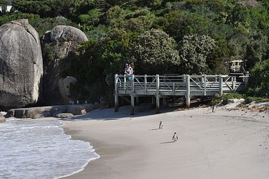 Simon's Town/Boulders