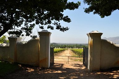 Groot Constantia Weingut