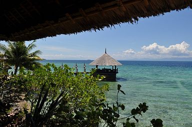 Cebu - Dolphin House, Moalboal