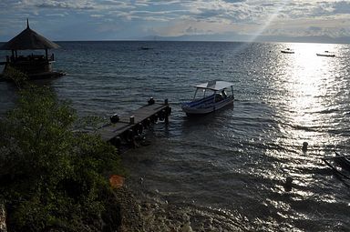 Cebu - Dolphin House, Moalboal