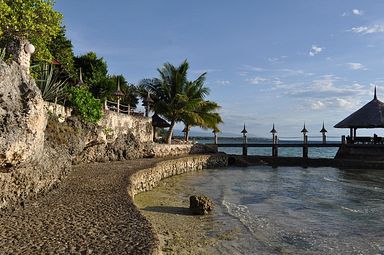 Cebu - Dolphin House, Moalboal