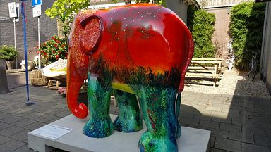 Laren - Elephant Art Exhibition