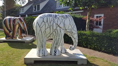 Laren - Elephant Art Exhibition