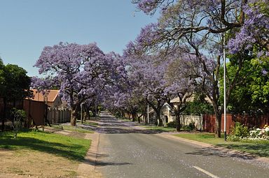 Pretoria