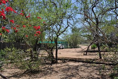 Kwa Mbili Game Lodge, Thornybush (Greater Kruger)