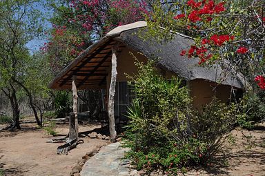 Kwa Mbili Game Lodge, Thornybush (Greater Kruger)