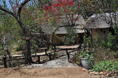 Kwa Mbili Game Lodge, Thornybush (Greater Kruger)