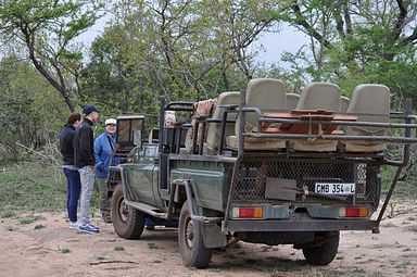 Thornybush Reservat (Greater Kruger Nationalpark)