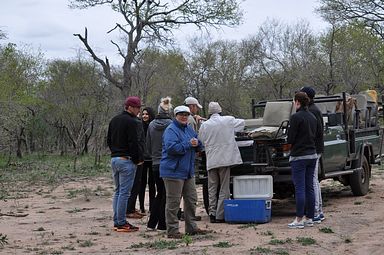 Thornybush Reservat (Greater Kruger Nationalpark)