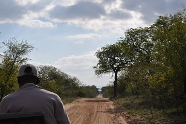 Thornybush Reservat (Greater Kruger Nationalpark)