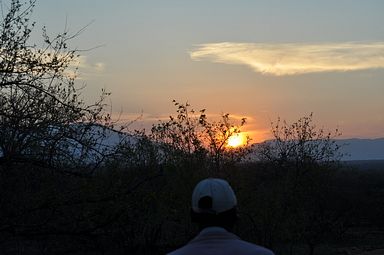 Thornybush Reservat (Greater Kruger Nationalpark)