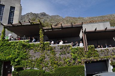 Table Mountain, Cape Town