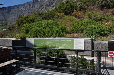 Table Mountain, Cape Town