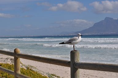 Bloubergstrand