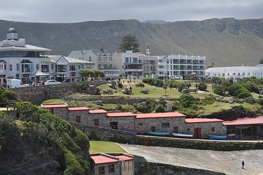 Hermanus