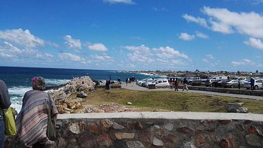 Hermanus