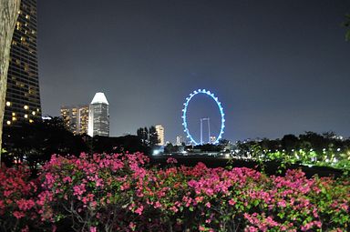 Gardens by the Bay, Singapore