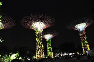 Gardens by the Bay, Singapore