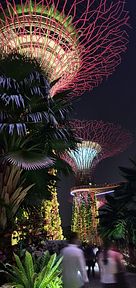 Gardens by the Bay, Singapore