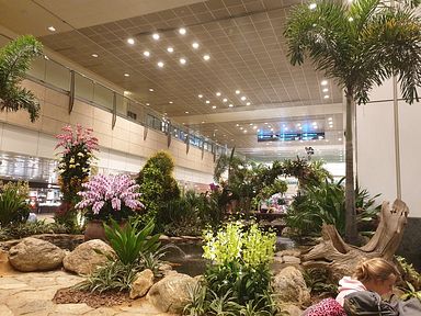 Singapore - Changi Airport