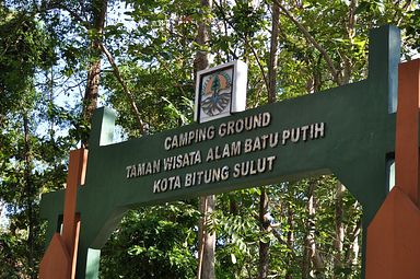 Tangkoko Nationalpark, Nord Sulawesi