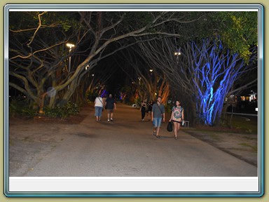 Cairns -Esplanade (QLD)