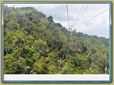 Skyrail Smithfield (Cairns - Kuranda)