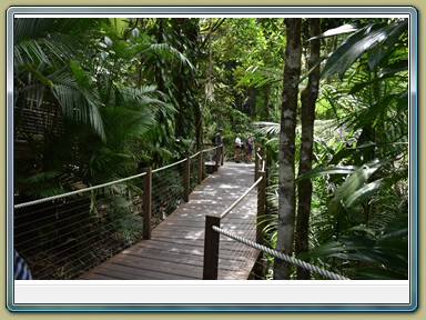 Skyrail Smithfield (Cairns - Kuranda)