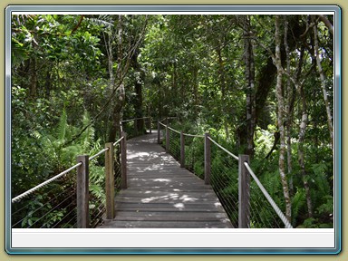 Skyrail Smithfield (Cairns - Kuranda)