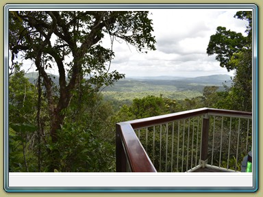 Skyrail Smithfield (Cairns - Kuranda)