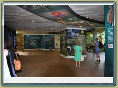 Skyrail Smithfield (Cairns - Kuranda)