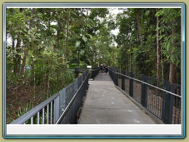 Skyrail Smithfield (Cairns - Kuranda)