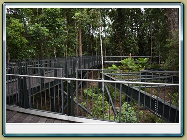 Skyrail Smithfield (Cairns - Kuranda)