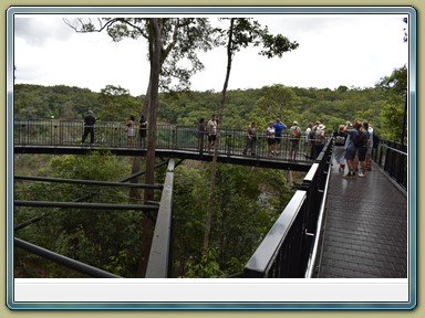 Skyrail Smithfield (Cairns - Kuranda)