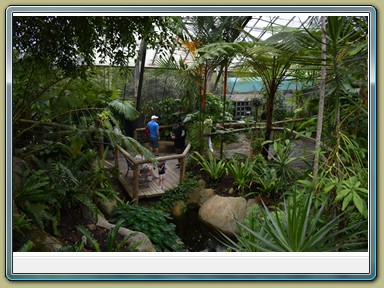 Kuranda Butterfly Sanctuary